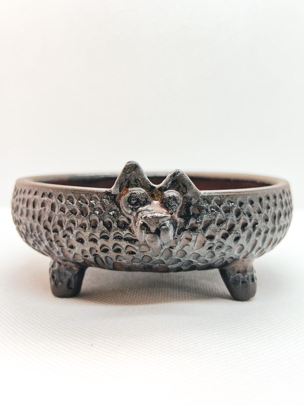 dog pet pottery